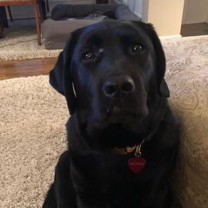 Meet your Posher, Allison